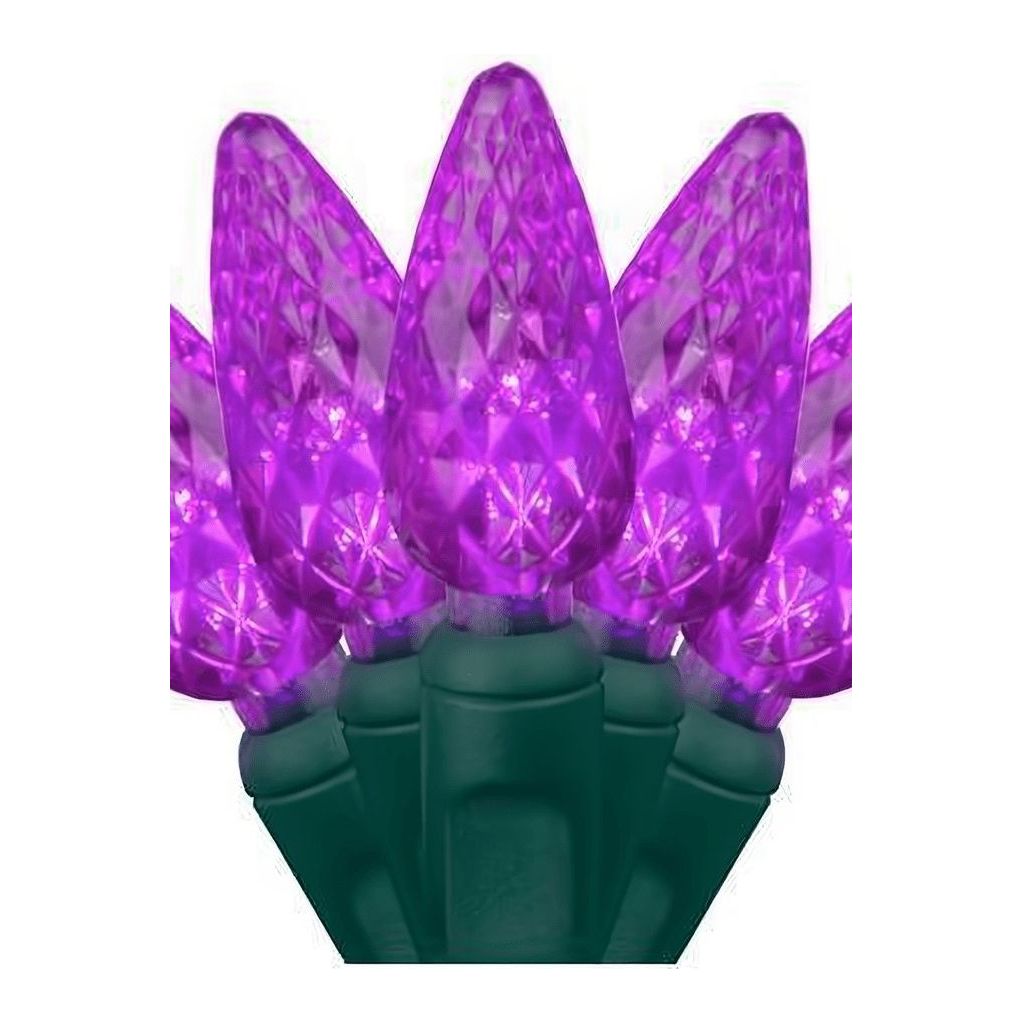 Shop For C6 Purple LED Christmas Lights, 50 Bulbs at Michelle's aDOORable Creations