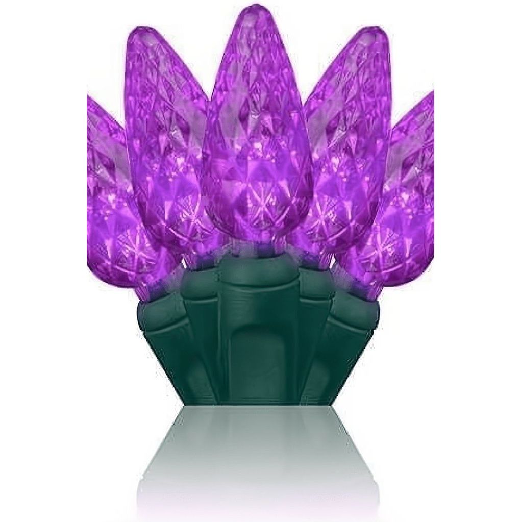 Shop For C6 Purple LED Christmas Lights, 70 Bulbs at Michelle's aDOORable Creations