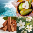 Shop For Calming Peace & Joy Candle