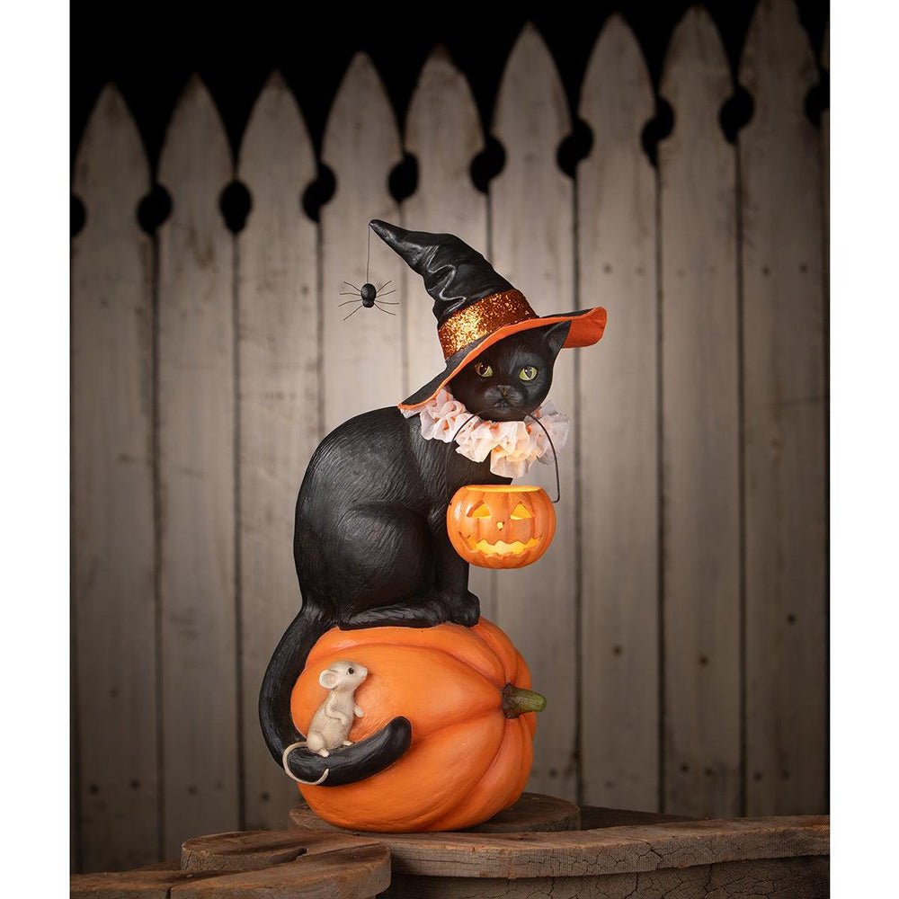 Shop For Cat Witch on Pumpkin by Bethany Lowe Designs