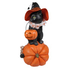Shop For Cat Witch on Pumpkin Figurine
