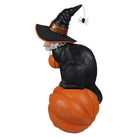 Shop For Cat Witch on Pumpkin Figurine