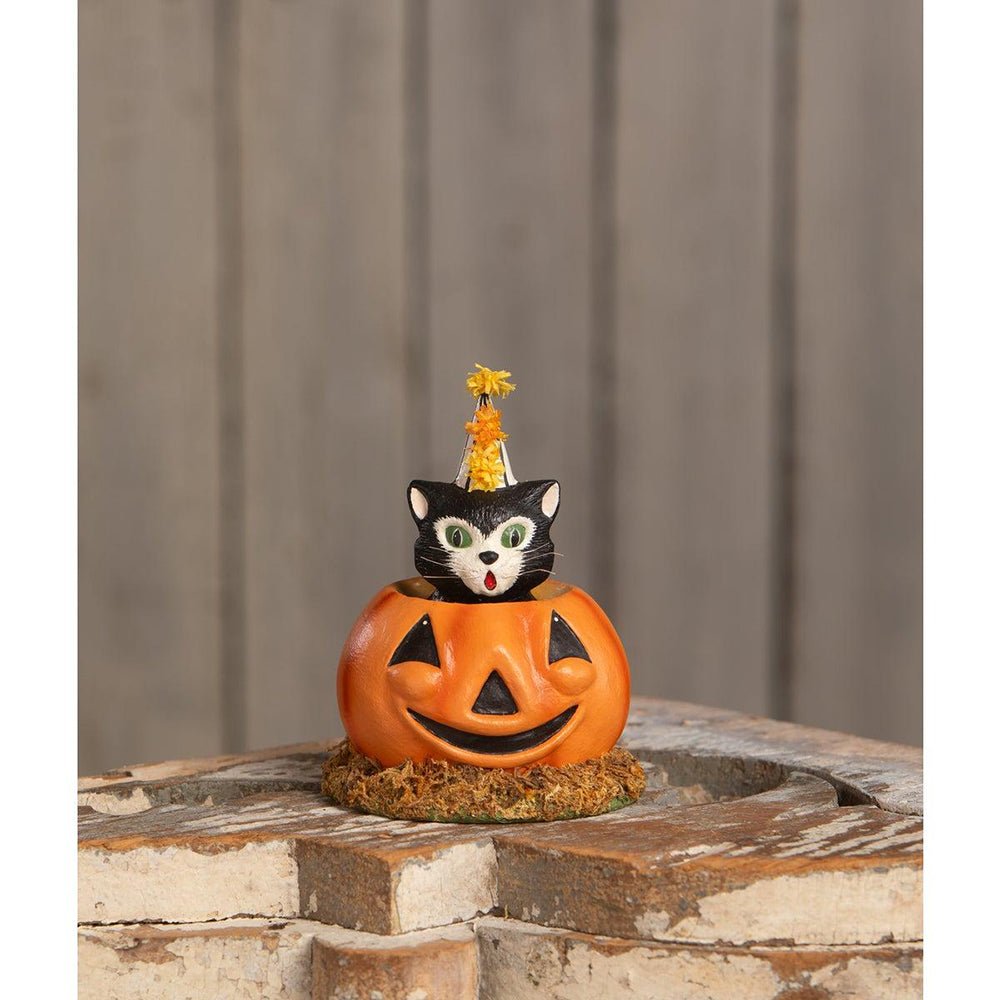 Shop For Cecil's Hang Out Collectable