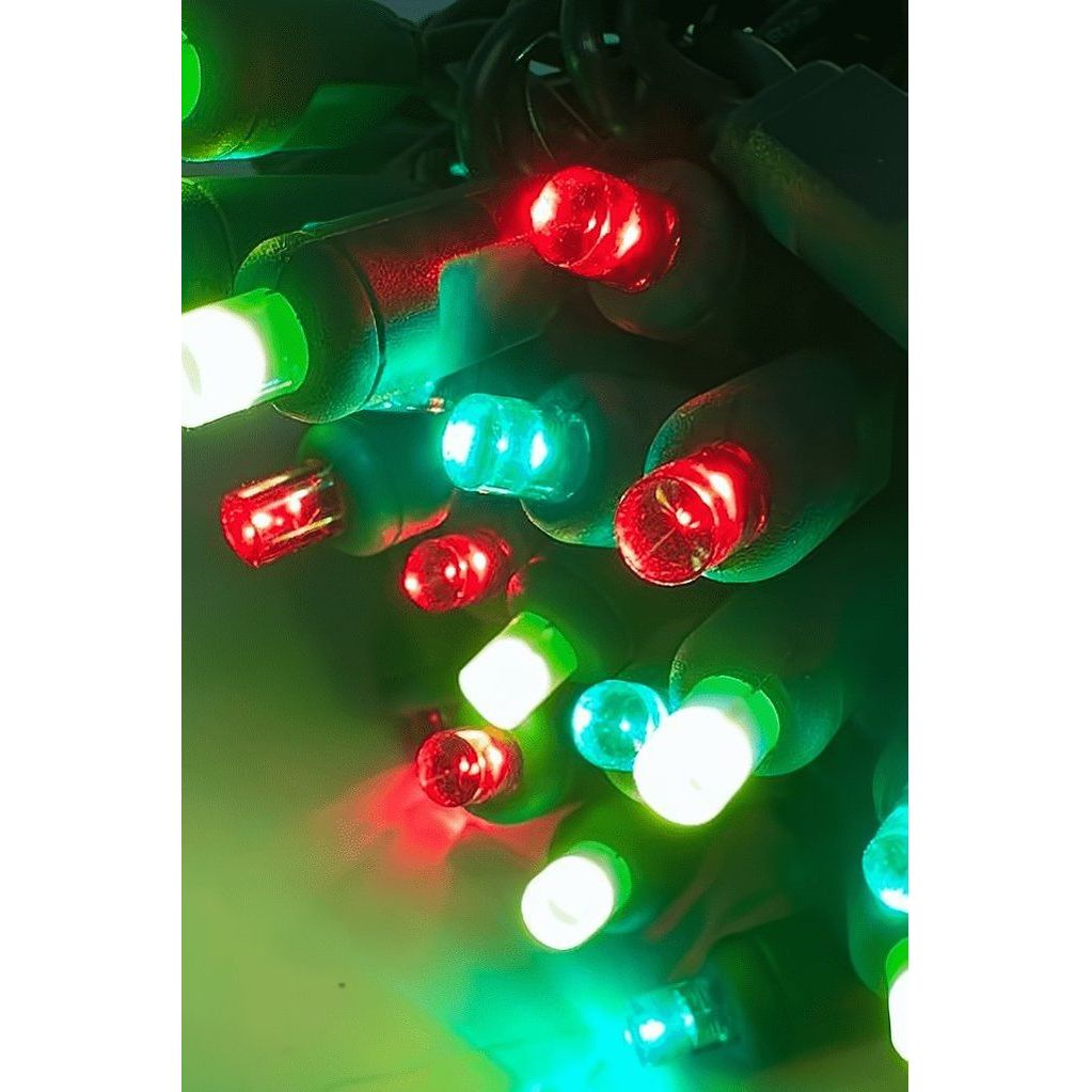 Shop For ColorSplash Holly, 5mm Multicolor LED Christmas Lights at Michelle's aDOORable Creations