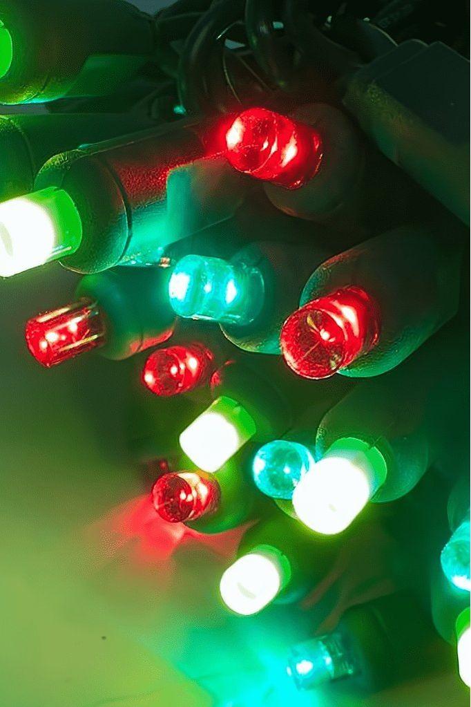 Shop For ColorSplash Holly, 5mm Multicolor LED Christmas Lights at Michelle's aDOORable Creations