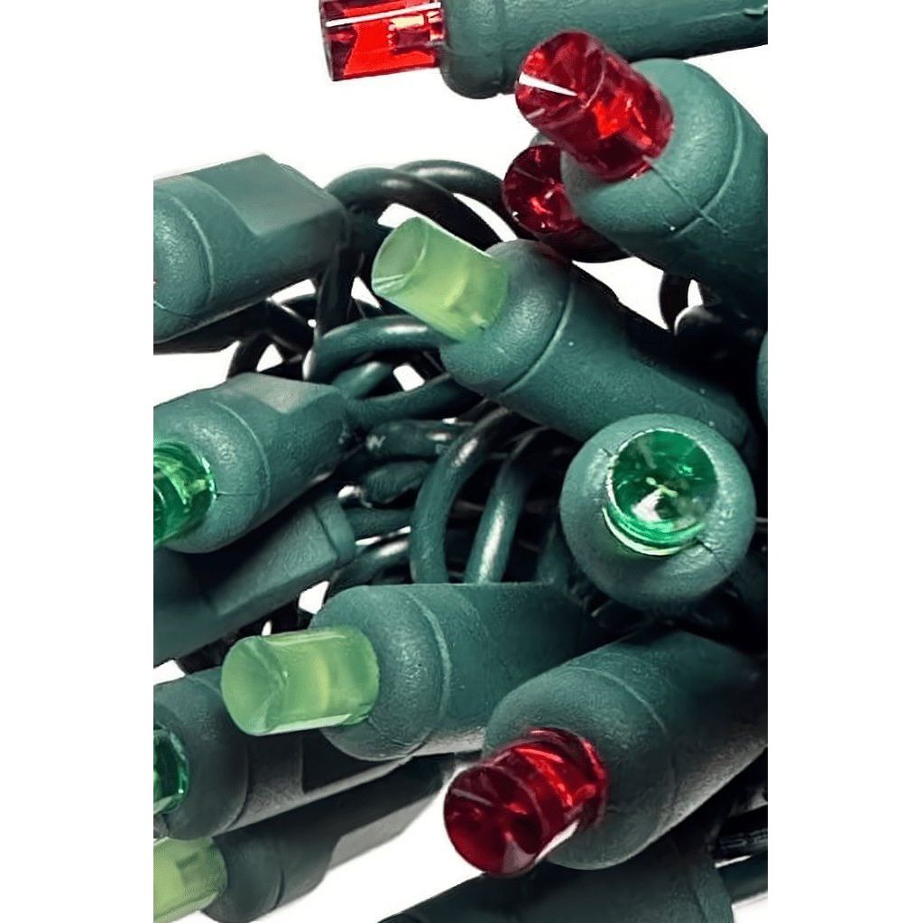 Shop For ColorSplash Holly, 5mm Multicolor LED Christmas Lights at Michelle's aDOORable Creations
