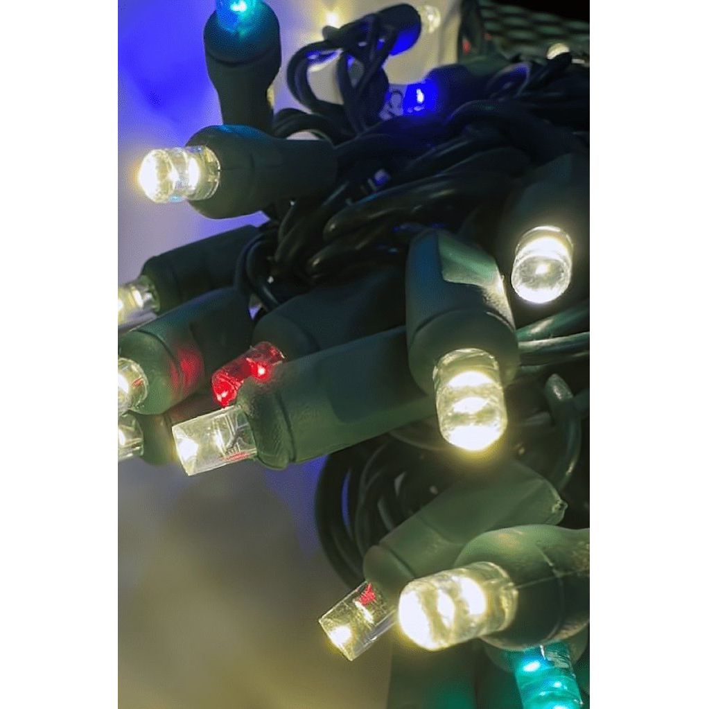 Shop For ColorSplash Treasure, 5mm Warm White LED Lights, 50 Bulbs at Michelle's aDOORable Creations