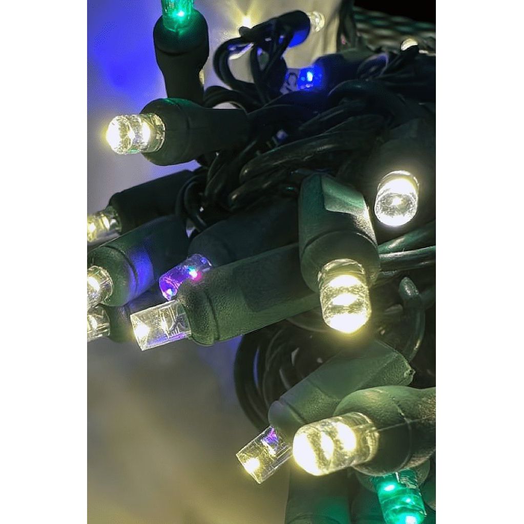Shop For ColorSplash Treasure, 5mm Warm White LED Lights, 50 Bulbs at Michelle's aDOORable Creations