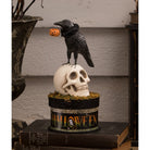 Shop For Crow and Skull on Box Collectable Figurine