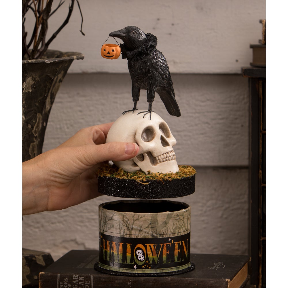 Shop For Crow and Skull on Box Collectable Figurine