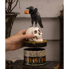 Shop For Crow and Skull on Box Collectable Figurine