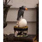 Shop For Crow and Skull on Box Collectable Figurine