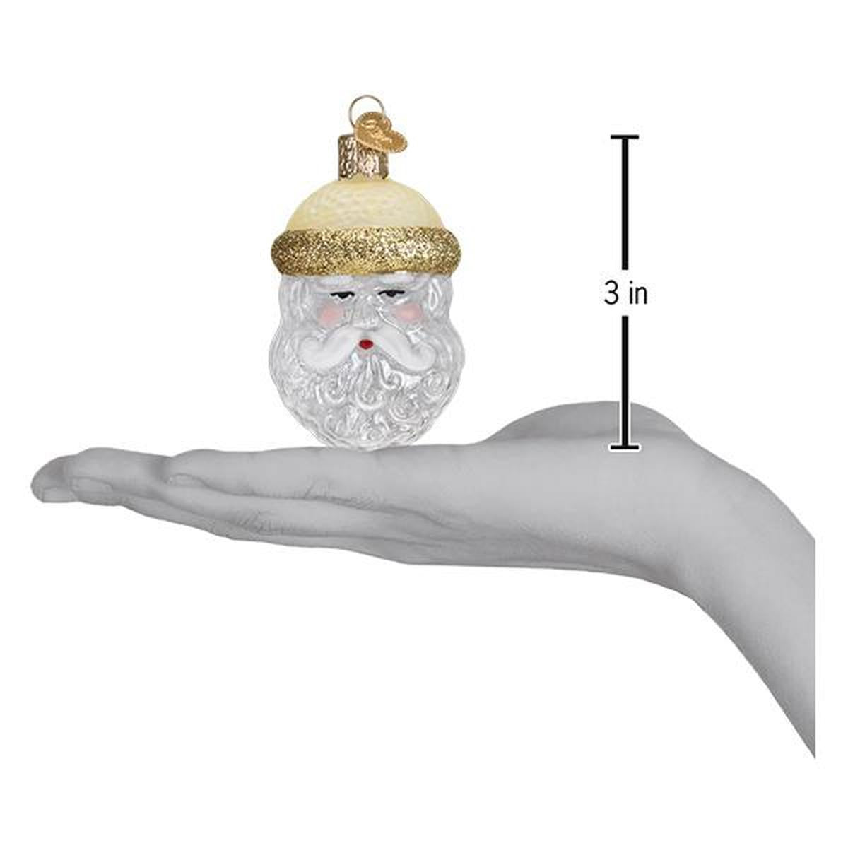 Shop For Crystal Santa Ornament