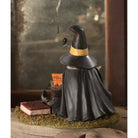 Shop For DIY Fortune Tellers Kit Witch Figurine