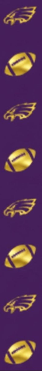 Shop For Eagle/Hawk Homecoming Ribbon: (Purple/Gold), Size 9