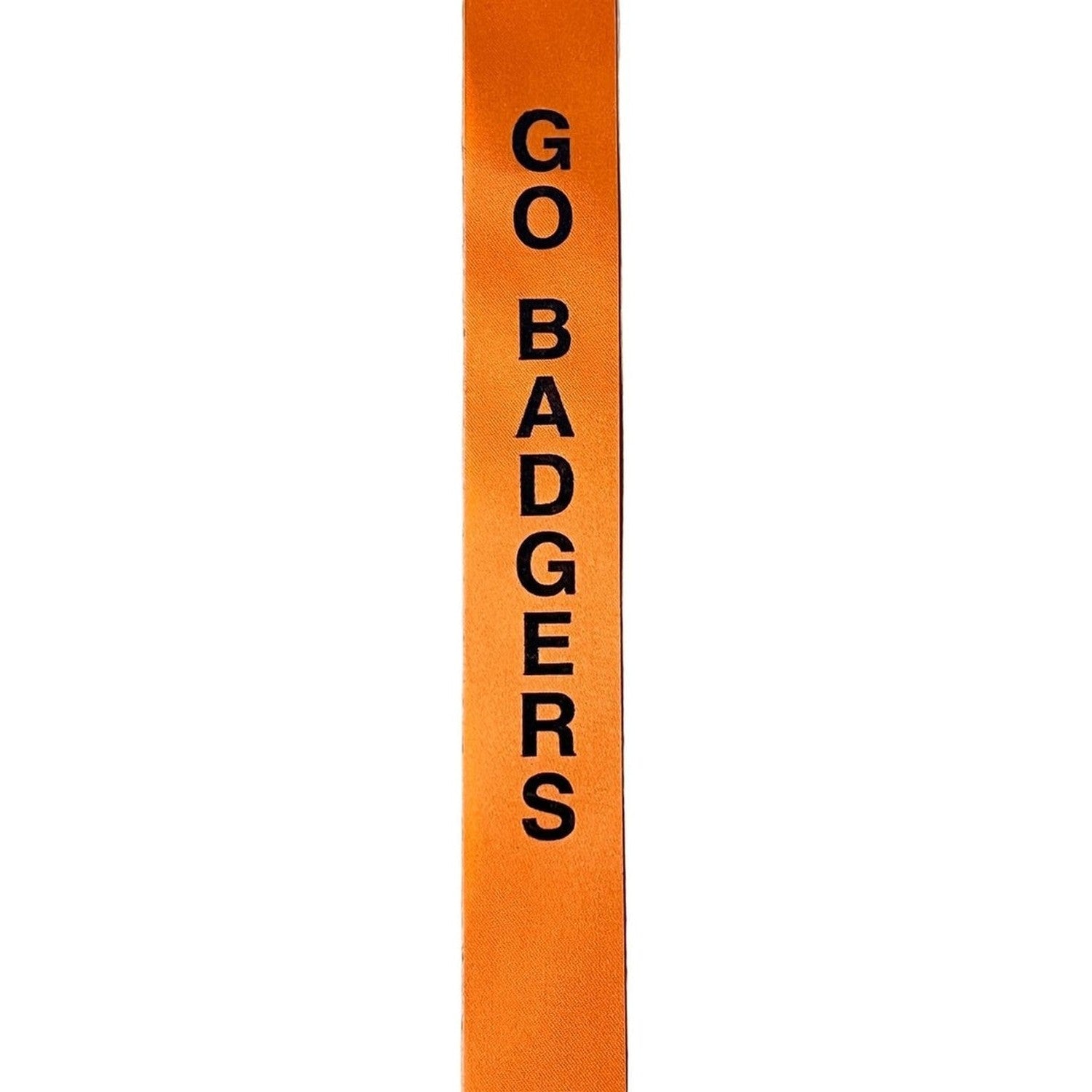 Shop For Go Badgers Homecoming Ribbon, Size 9