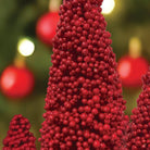 Shop For Holiday Berry 3 Tree Set