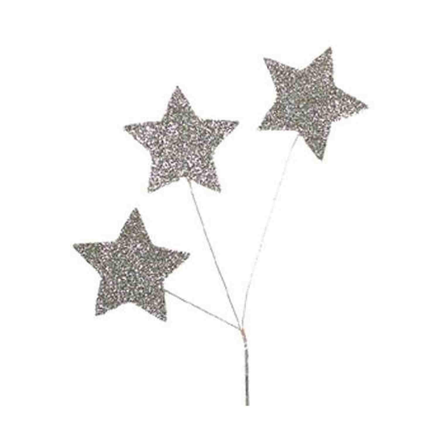 Shop For Homecoming Star Glitter Spray: Silver