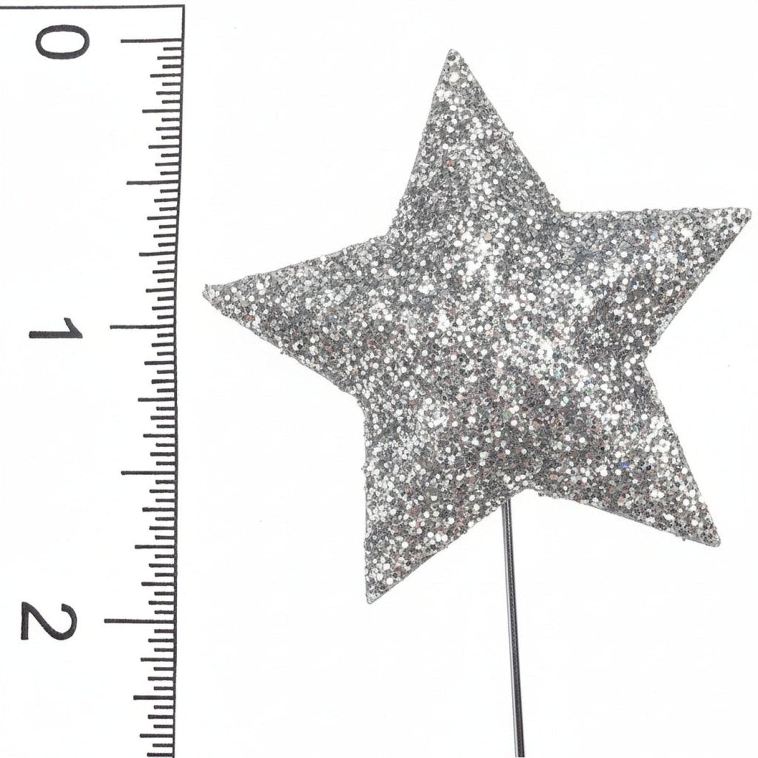 Shop For Homecoming Star Glitter Spray: Silver