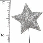 Shop For Homecoming Star Glitter Spray: Silver