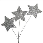 Shop For Homecoming Star Glitter Spray: Silver