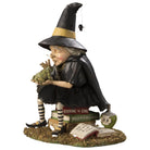Shop For How To Find A Prince Witch