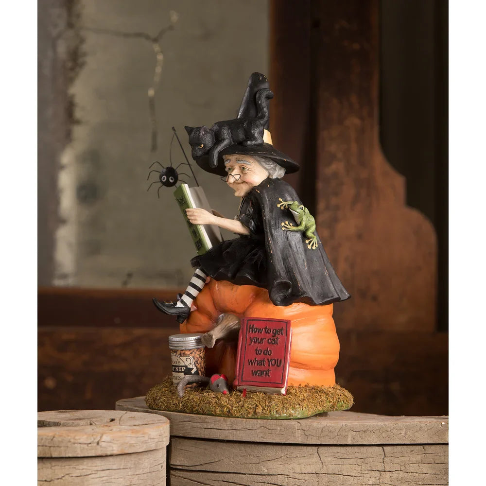 Shop For How to Train Your Black Cat Witch