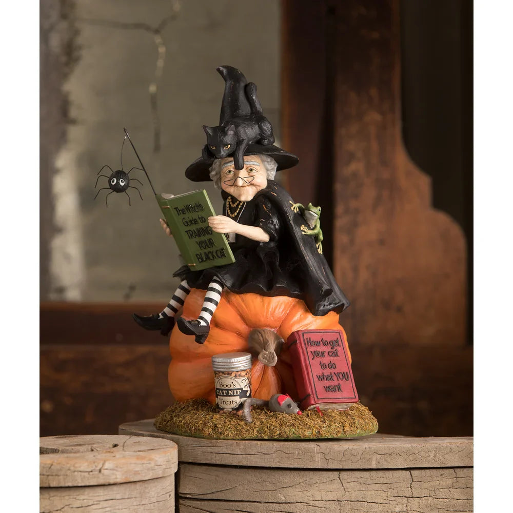 Shop For How to Train Your Black Cat Witch
