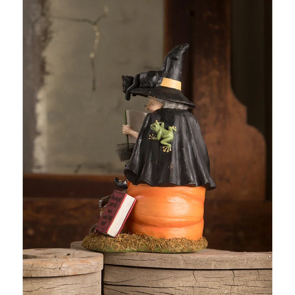 Shop For How to Train Your Black Cat Witch