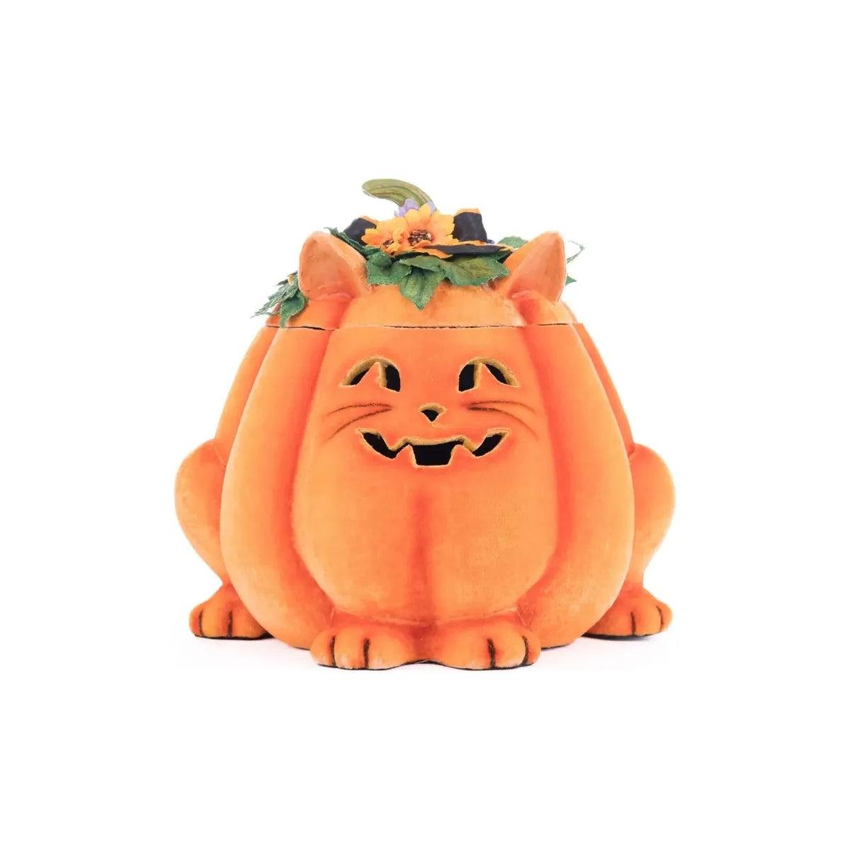 Shop For Jackie The Kitty Cat Pumpkin Candy Container