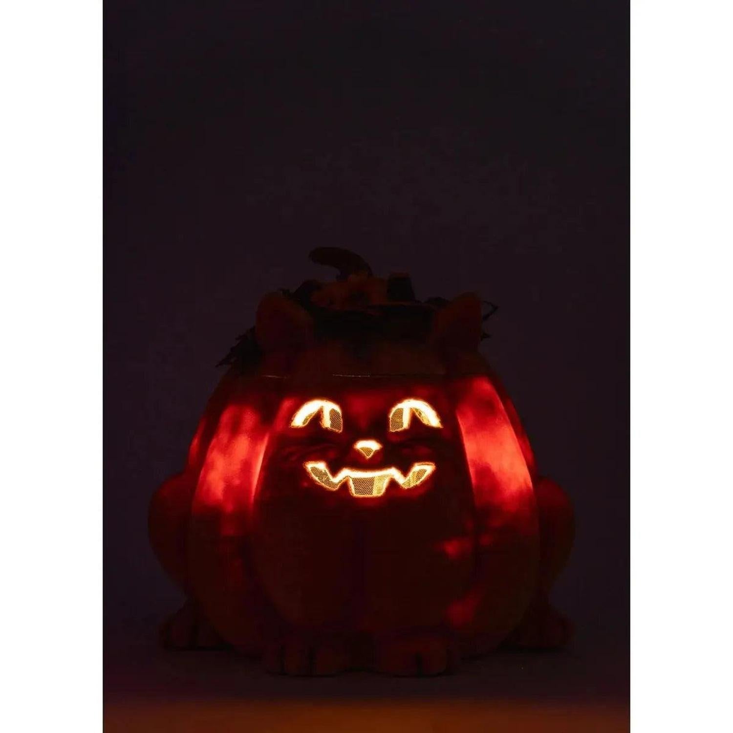 Shop For Jackie The Kitty Cat Pumpkin Candy Container