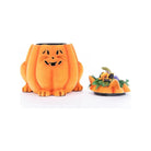 Shop For Jackie The Kitty Cat Pumpkin Candy Container