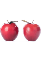 Shop For Katherine's Collection Toxic Terry and Noxious Nelson Apples (Set of 2)