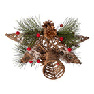 Shop For Kurt Adler 11 - Inch Natural Star with Pinecones Treetop