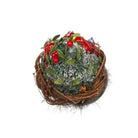 Shop For Kurt Adler 19.5" Hollywood Nutcrackers™ Cardinal In Tree Hat Nutcracker