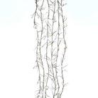 Shop For Kurt Adler 300 - Light Cluster Garland Cool White LED Twinkle Lights