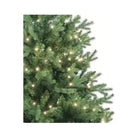 Shop For Kurt Adler 5 - Foot Warm White LED Jackson Pine Tree