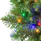 Shop For Kurt Adler 9 - Foot Pre - lit Multicolored LED Noble Fir Garland