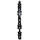 Shop For Metallic Vinyl Puffy Homecoming Garland
