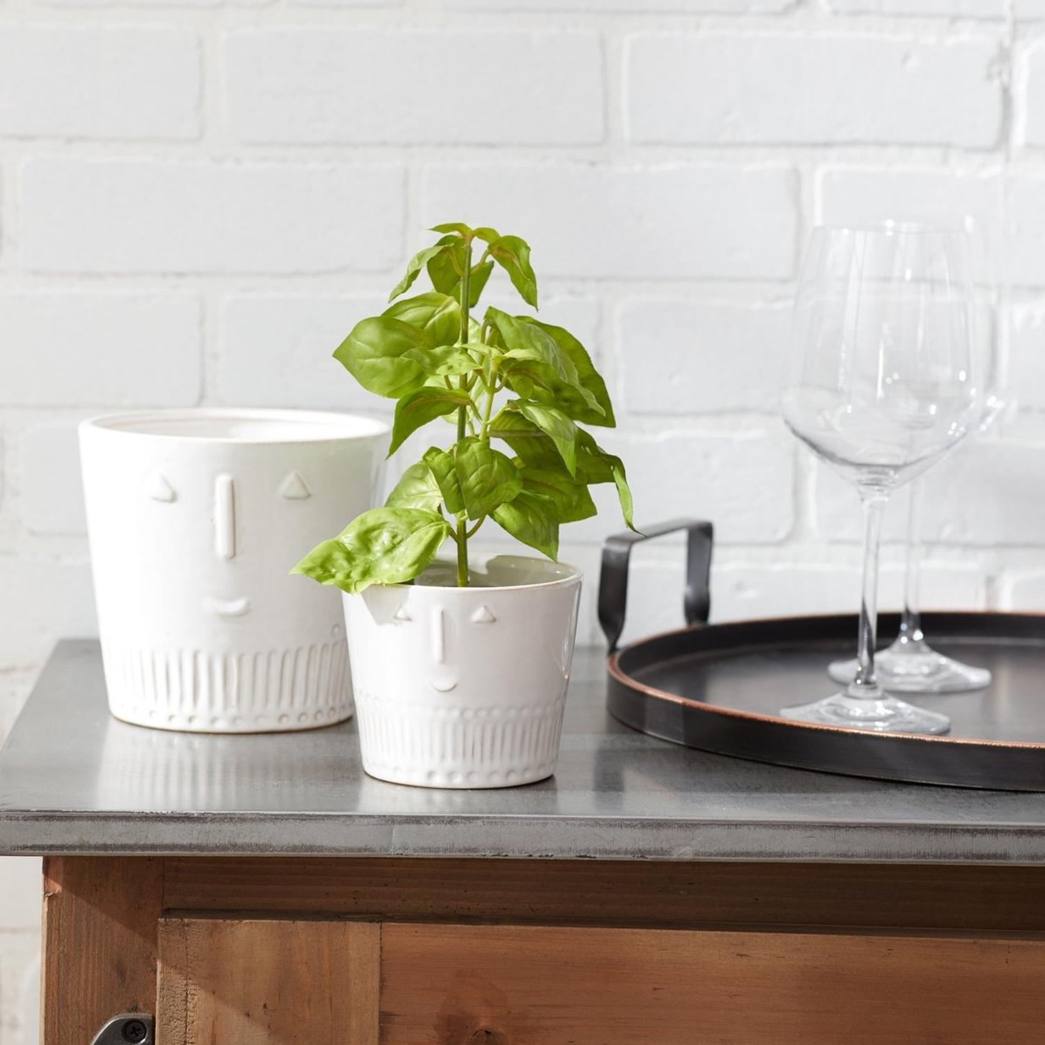 Shop For Porcelain Face Planter (Set of 2) at Michelle's aDOORable Creations