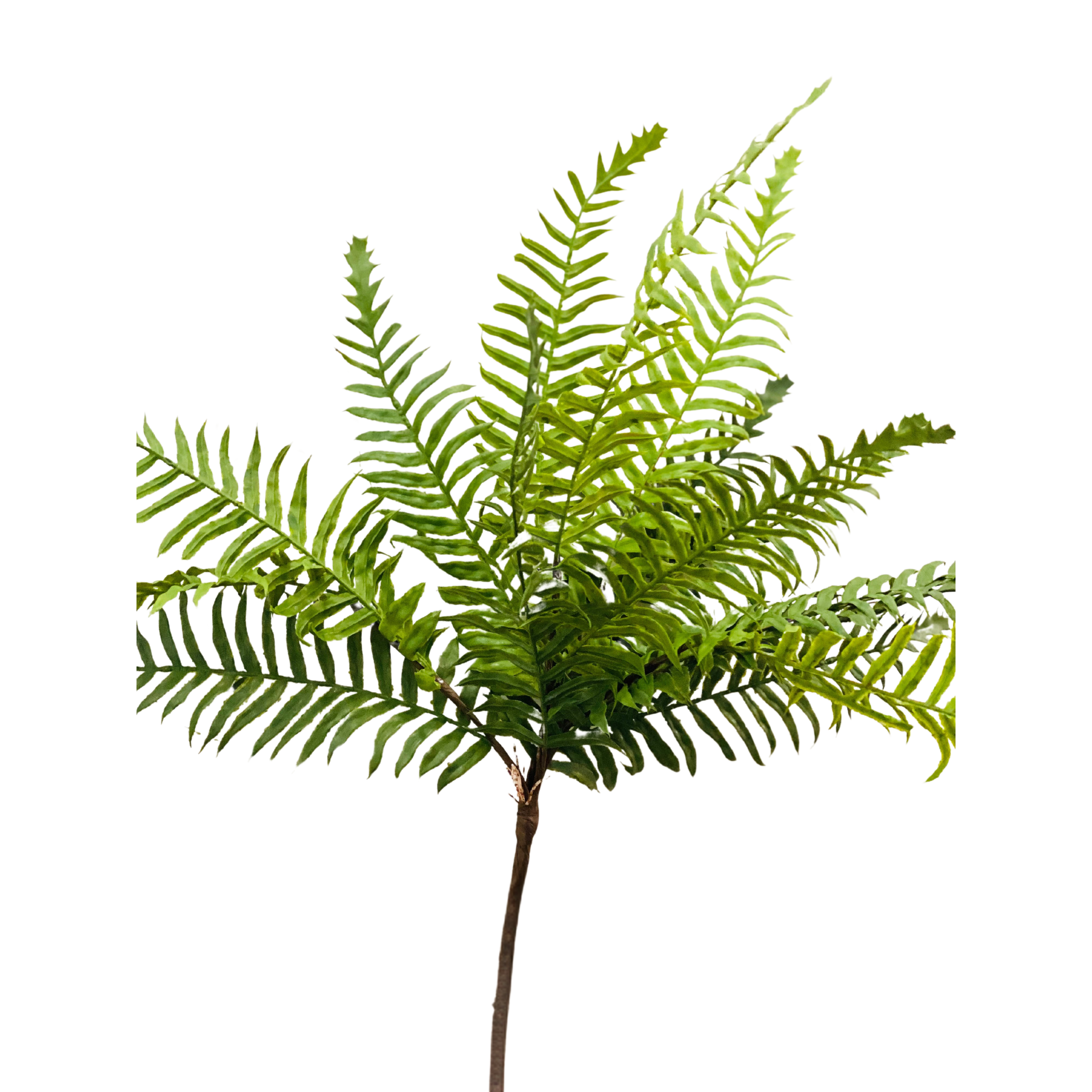 Shop For Real Touch Artificial Boston Fern - Bundle of 4