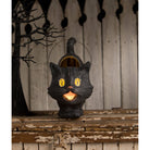 Shop For Scaredy Sassy Cat Bucket