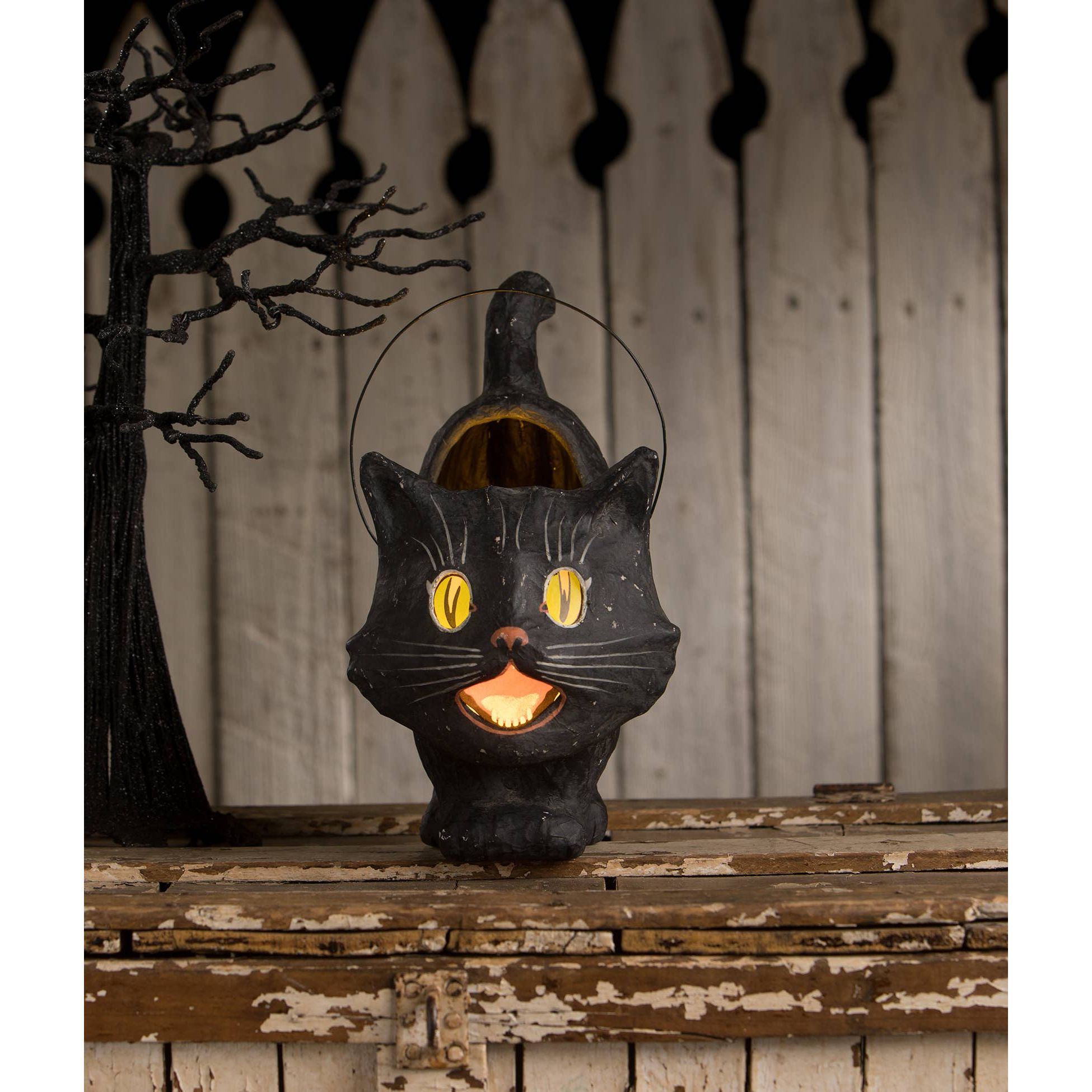 Shop For Scaredy Sassy Cat Bucket