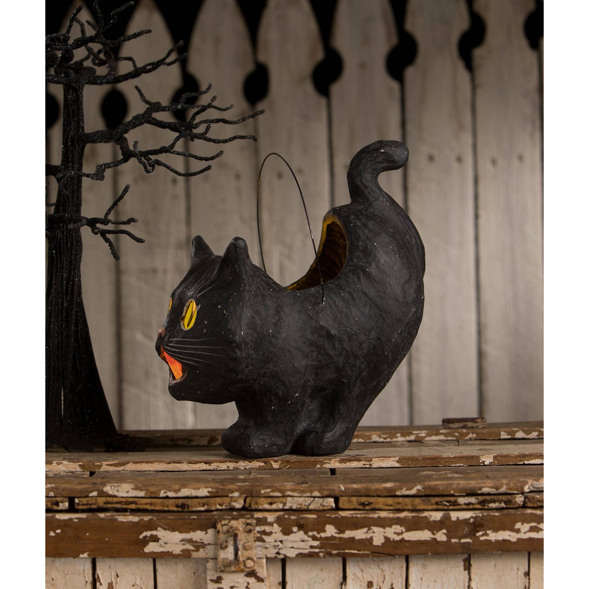 Shop For Scaredy Sassy Cat Bucket