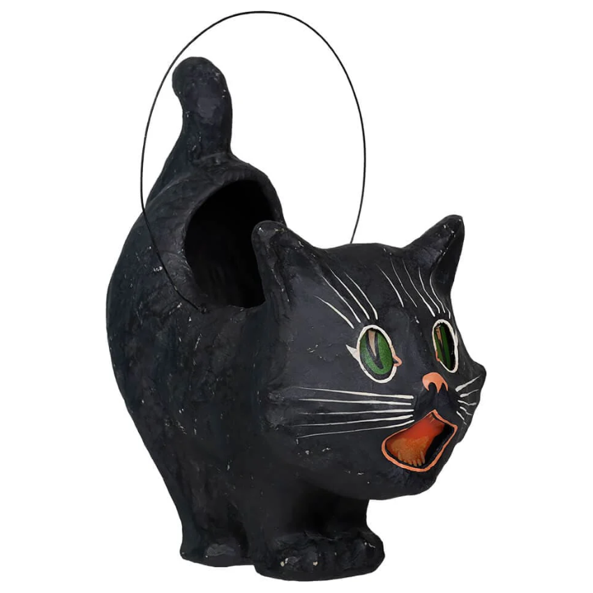 Shop For Scaredy Sassy Cat Bucket