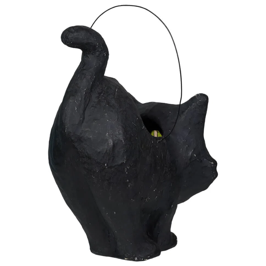Shop For Scaredy Sassy Cat Bucket