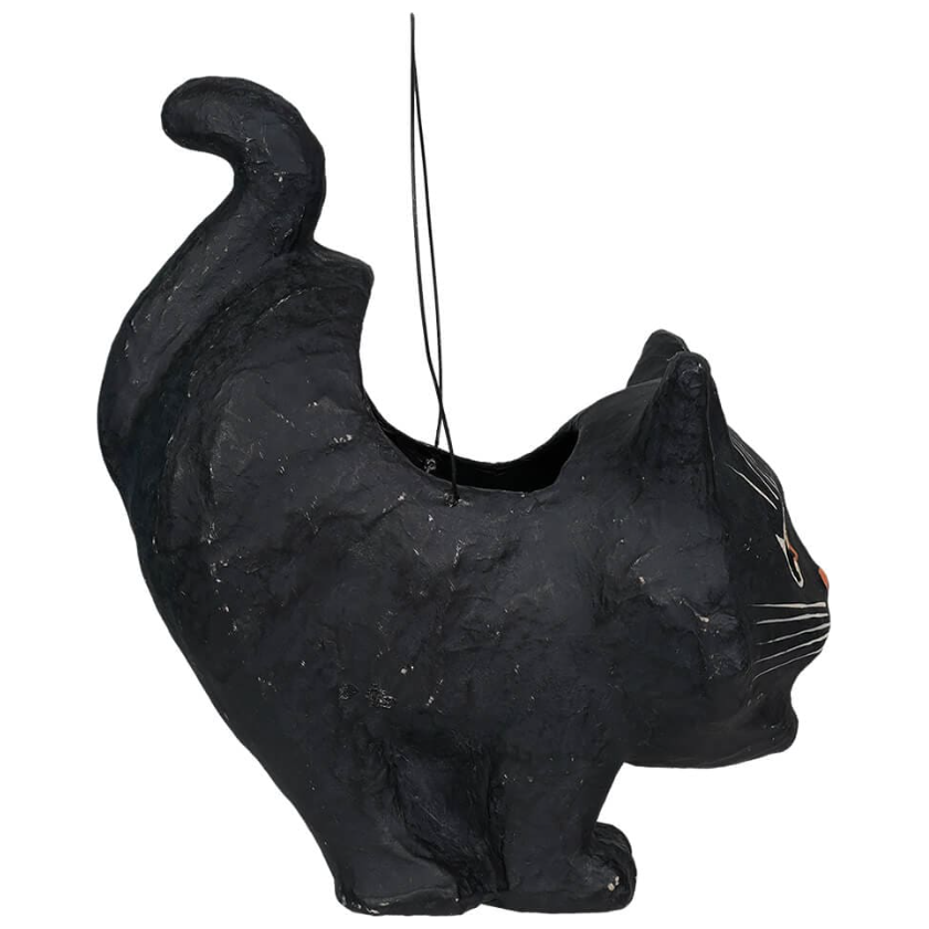 Shop For Scaredy Sassy Cat Bucket