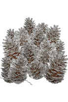 Shop For Silver Pine Cones (Set of 60)