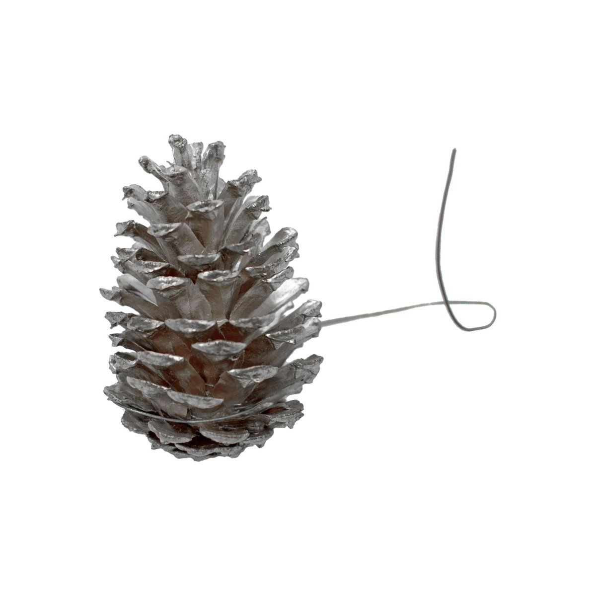 Shop For Silver Pine Cones (Set of 60)
