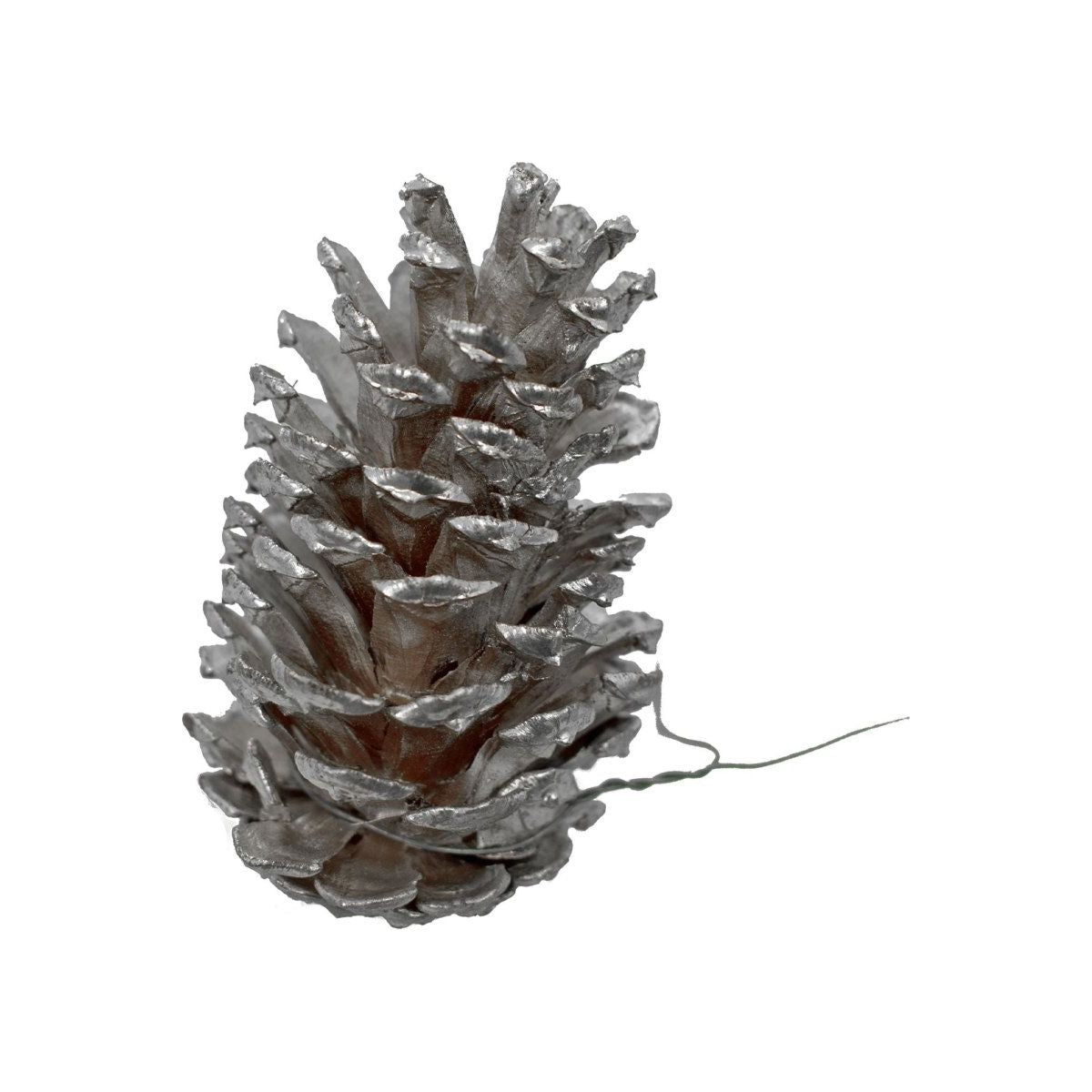 Shop For Silver Pine Cones (Set of 60)